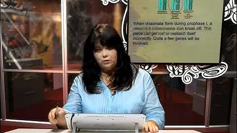 LS Lesson 8 Segment 3 SD Video Sharing copy