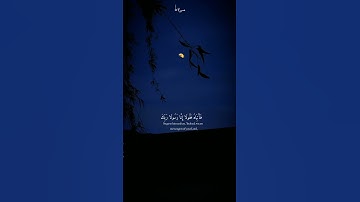 قَالَ لَا تَخَافَا ۖ إِنَّنِي مَعَكُمَا أَسْمَعُ وَأَرَىٰ /سورة طه #قرآن