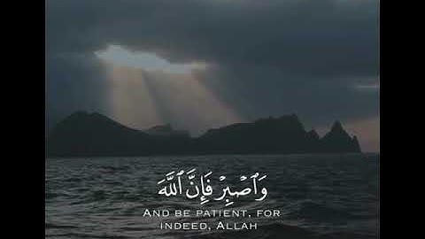 سورة هود الآية (115)