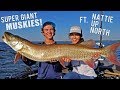 SUPER GIANT Minnesota Muskies!!! - Ft. Nattie Up North - Day 1