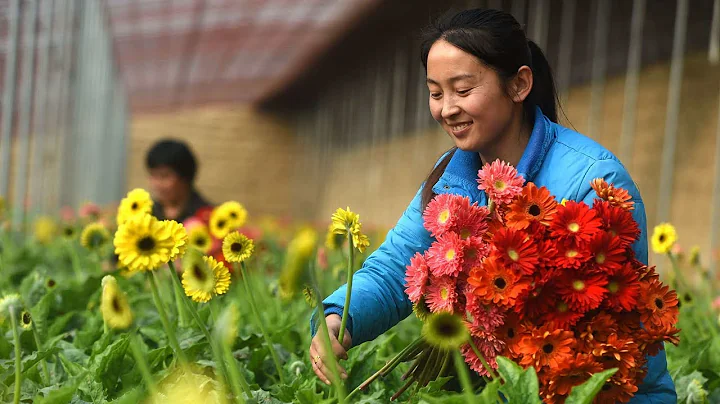 Premier Li: Over 68 million Chinese people have been lifted out of poverty