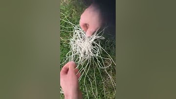 Untangling kite lines