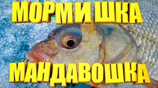 Без цієї снасті на рибалку не йду. Саморобна мормишка МАНДАВОШКА виручяє завжди.