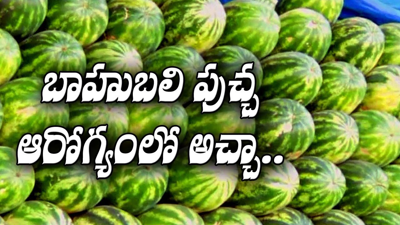 something special traduction బాహుబలి పుచ్చ ఆరోగ్యంలో అచ్చా | Something Special