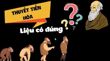 Lý do Thuyết tiến hóa của Darwin không nên dạy trong trường học | Nhận Thức Mới