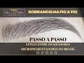 11 mi Micropigmentação  Microblading - eyebrow micropigmentation Mikropigmentierung der Augenbrauen