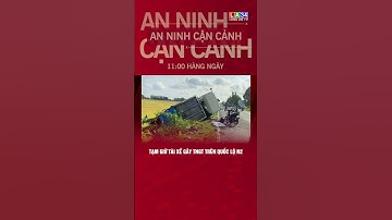 Tạm giữ tài xế gây T.N.G.T trên quốc lộ N2