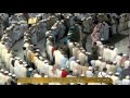 سورة الفيل Al Fil عبد الرحمن السديس Al Haramien HD سورة الفيل Al Fil عبد الرحمن السديس Al Haramien HD