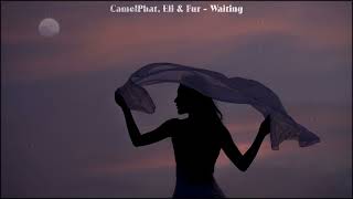 CamelPhat, Eli & Fur - Waiting