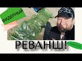 Фидерный реванш! Работа над ошибками! Весенний фидер!