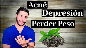 ¿El té verde despeja la mente?