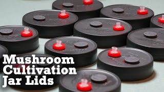 How to Grow Mushrooms: Grain Spawn & liquid culture Jar Lids