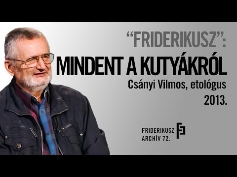 Videó: A család tollak szívbillentyűs megjegyzése, miután elhagyta szeretett kutyáját egy menedékházban