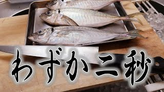 [アジ編]魚屋アングラーが勧めるアジの早卸＆裏技