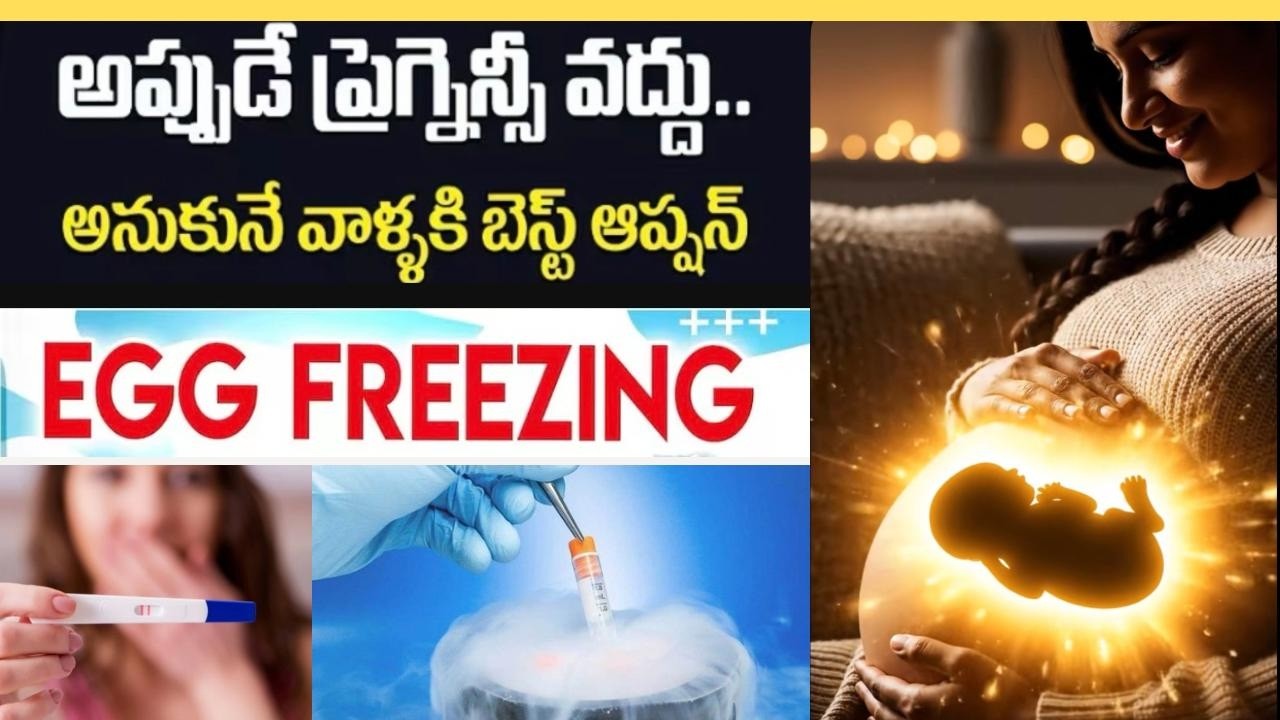 Egg Freezing అంటే ఏమిటి? ఎందుకు చేస్తారు ఎలా పనిచేస్తుంది? 