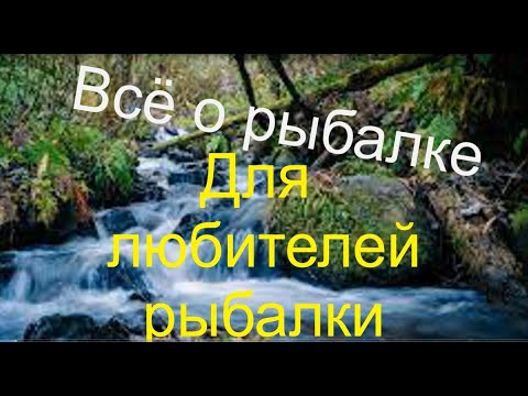 Вся правда о Леще 2022, возможно вы этого не знали