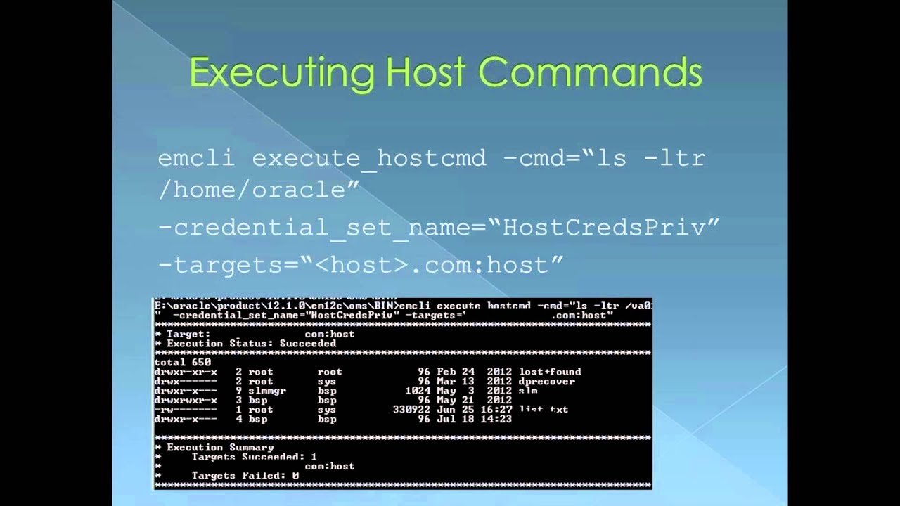 Host cmd