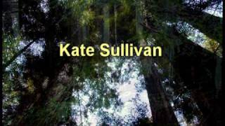 Kate Sullivan- Hypothesis Driven Research- Pt 1