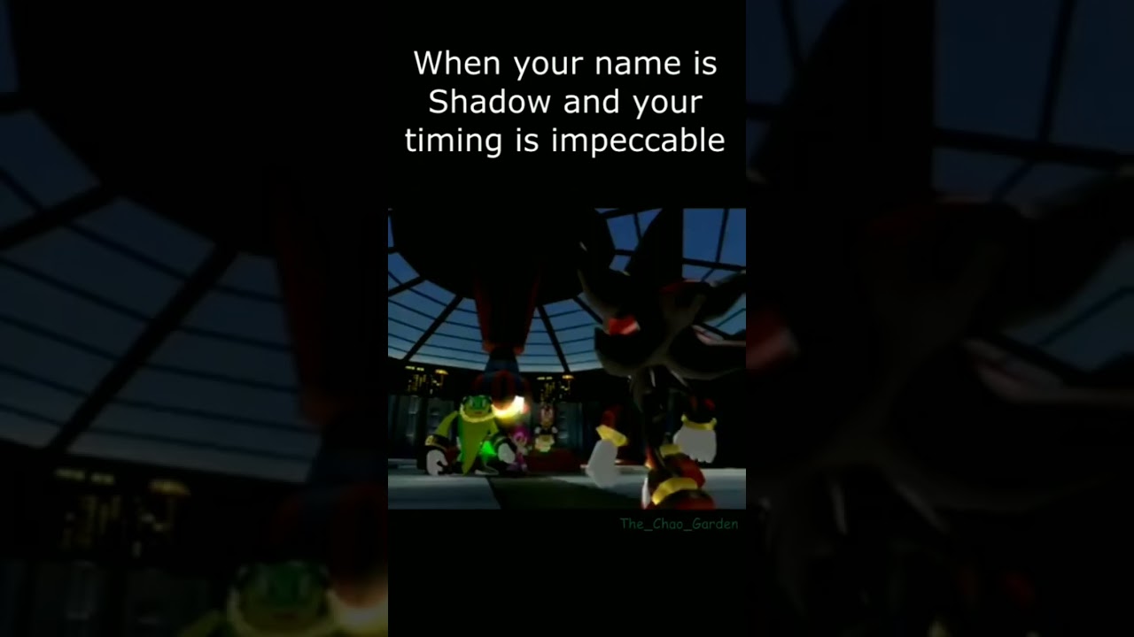 when your name is Shadow and your timing is impeccable 