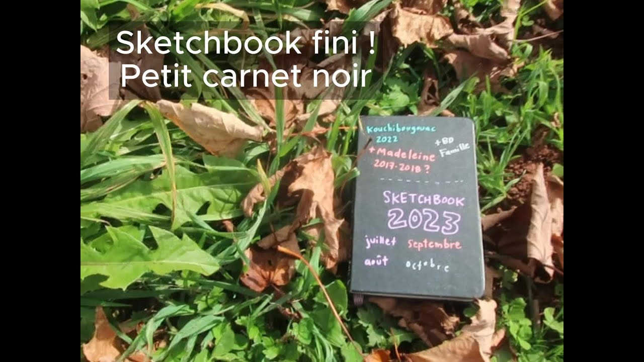 Petit carnet noir fini - On tourne les pages - Sketchbook flip through