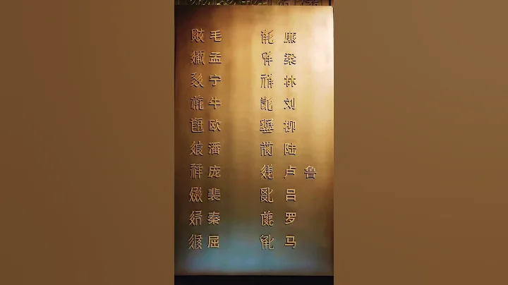 宁夏博物馆，神秘的西夏王国文字百家姓，快来找你的姓吧！#宁夏博物馆 #西夏 #百家姓 #中国 - 天天要闻