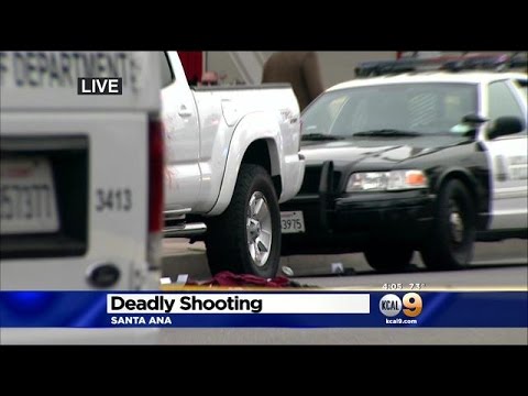 Armed Suspect Wanted In Shooting Dies In Hail Of Police Gunfire In ...