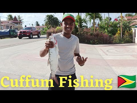 Tarpon/Cuffum Fishing At Albion Front Guyana {Email Marketing, Insurance, Website Hosting}