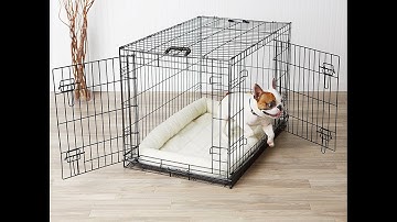 Review:  AmazonBasics Folding Metal Dog Crate
