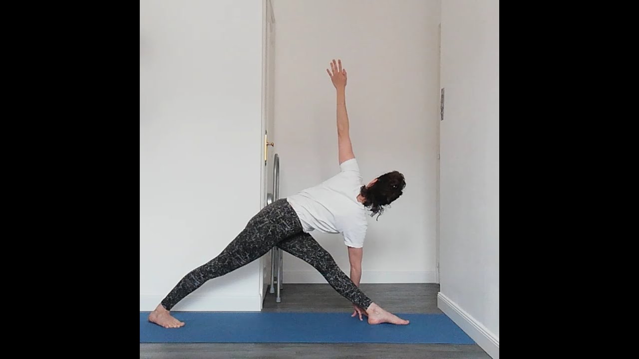 PRATIQUE DE YOGA N°7 | NIVEAU 1