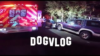 DOGVLOG 6 - Пьяная авария на Halloween