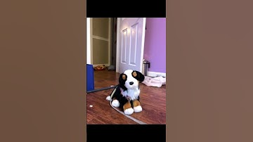 Sorry bout all the templates Im too lazy to make a real edit😍