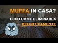 Come liberarsi della muffa in casa in maniera definitiva? Il metodo Bastamuffa