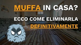 Come liberarsi della muffa in casa in maniera definitiva? Il metodo Bastamuffa