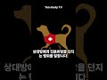 이전투구(泥田鬪狗)영어표
