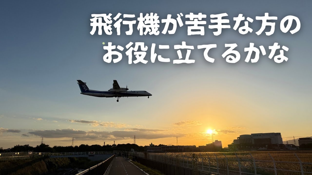 飛行機 不安