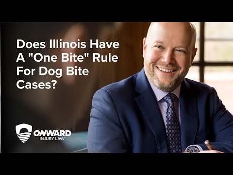 Does Illinois Have A "One Bite" Rule For Dog Bite Cases? // #personalinjury