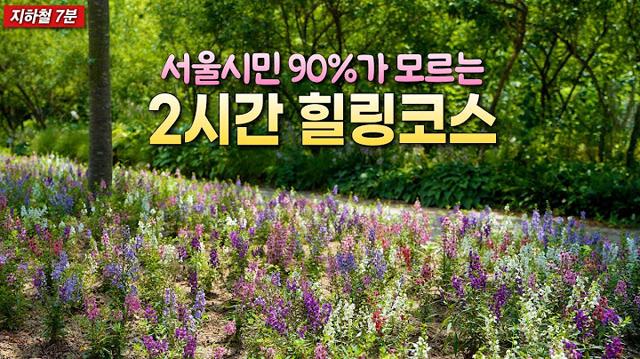 서울시민 90%가 모르는 2시간 힐링 트레킹코스ㅣ지하철 7분ㅣ대중교통 당일치기 국내여행
