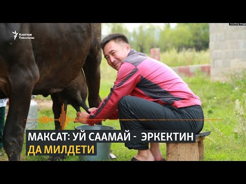 Video: Эркектердин алдашынын себептери