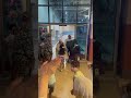 الف حمدلله على السلامه يارب اكتبها لكل مشتاق مروه مجدي حج 2023 الف حمدلله على السلامه يارب اكتبها لكل مشتاق مروه مجدي حج 2023