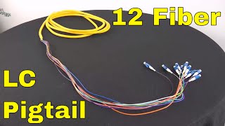 12 Strand Singlemode LC UPC Fiber Optic Cable Pigtail