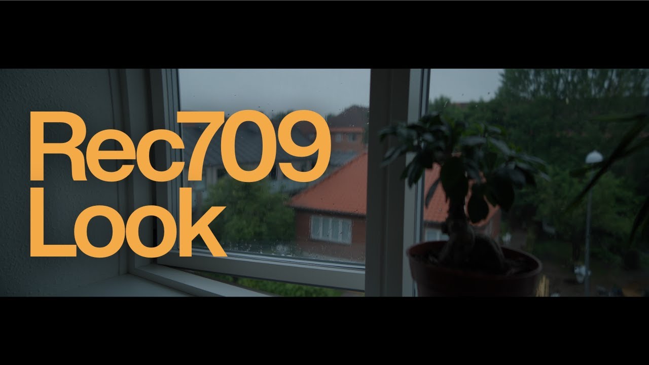 SonyA7IV & Sirui Venus - Straight out of camera!