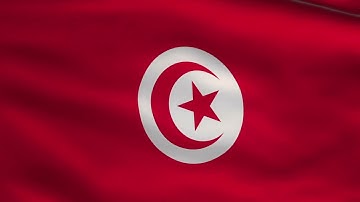 🇹🇳 Tunisia Country Flag Animation | Full HD | 10 Hours