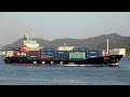 SUNNY PALM - KMTC LINE container ship