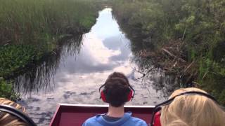 Gator Jumping on Airboat Ride