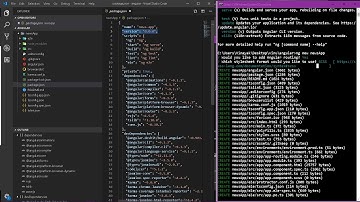 Setup local environment - Angular , Node  - Angular 9 step by step development