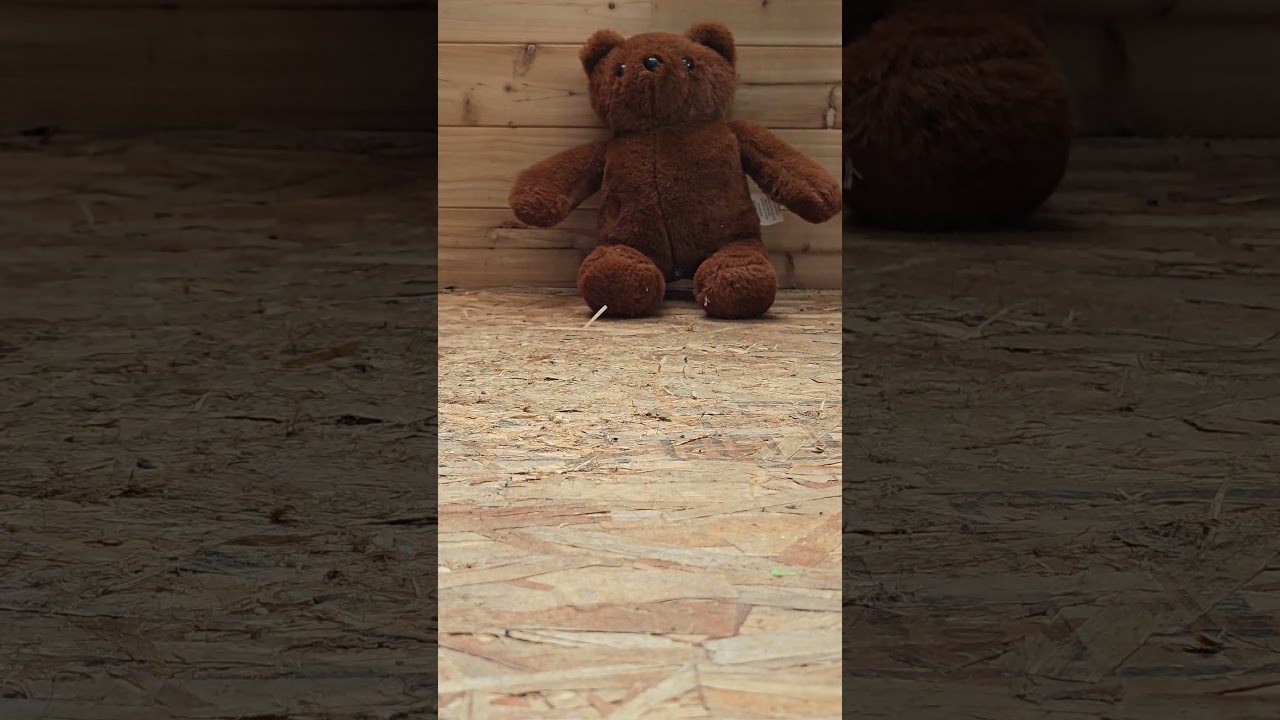 Stuff toy bear crush in pleaser heels 