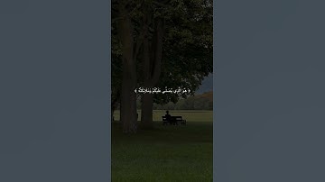 سورة الأحزاب : الشيخ ياسر الدوسري 🖤🌿