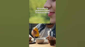 Microplastic found in human body #shorts made with taleblocks.com