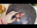 Cambodian Foods- Fried Mackerel Fish with tomato and passion salad