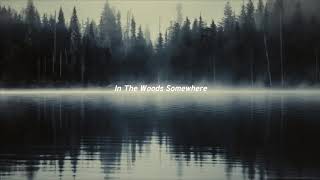 In The Woods Somewhere - Hozier (Isolated Vocals + Empty Arena) Resimi